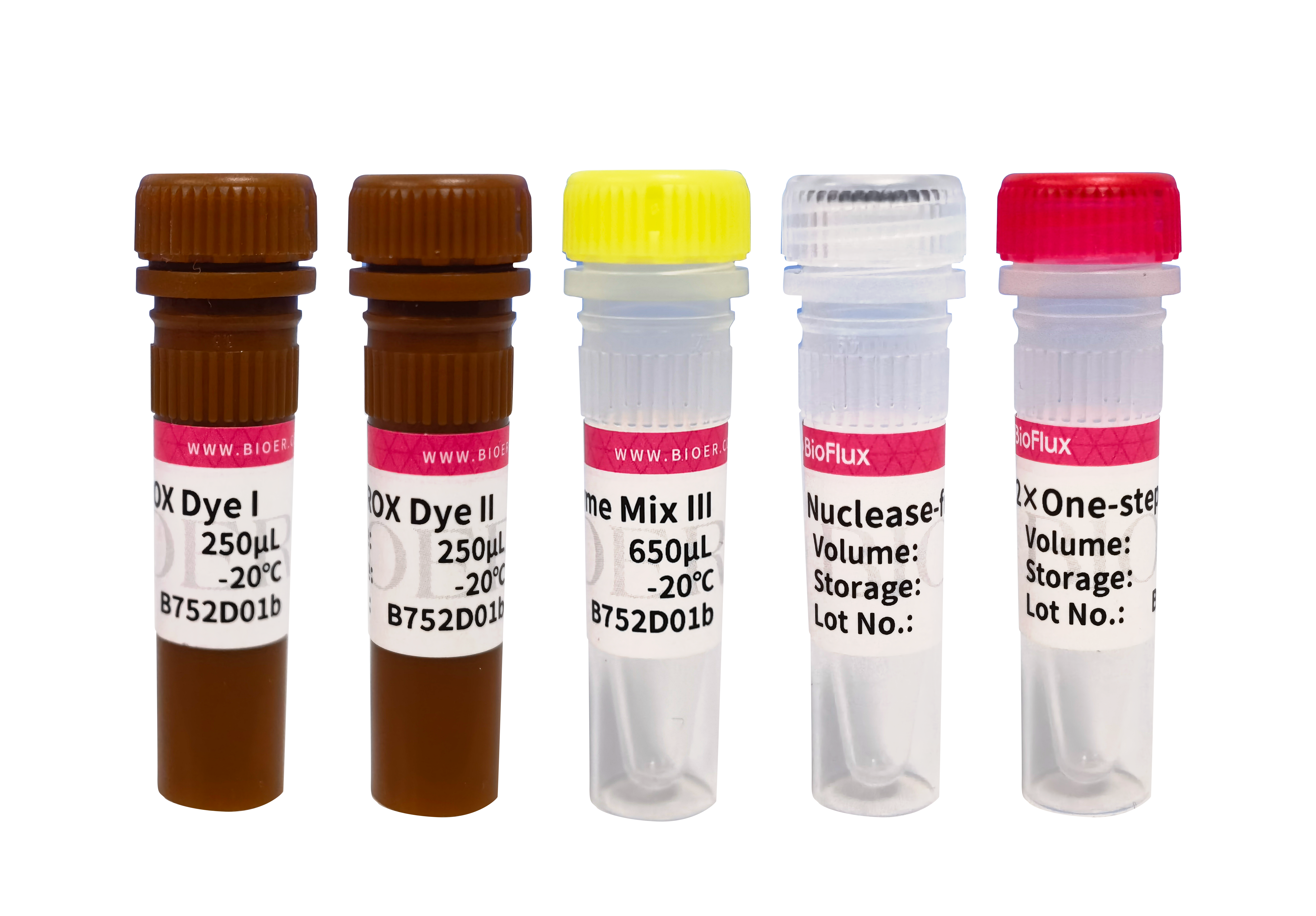 BioRT One-step RT-qPCR Kit (UDG plus)