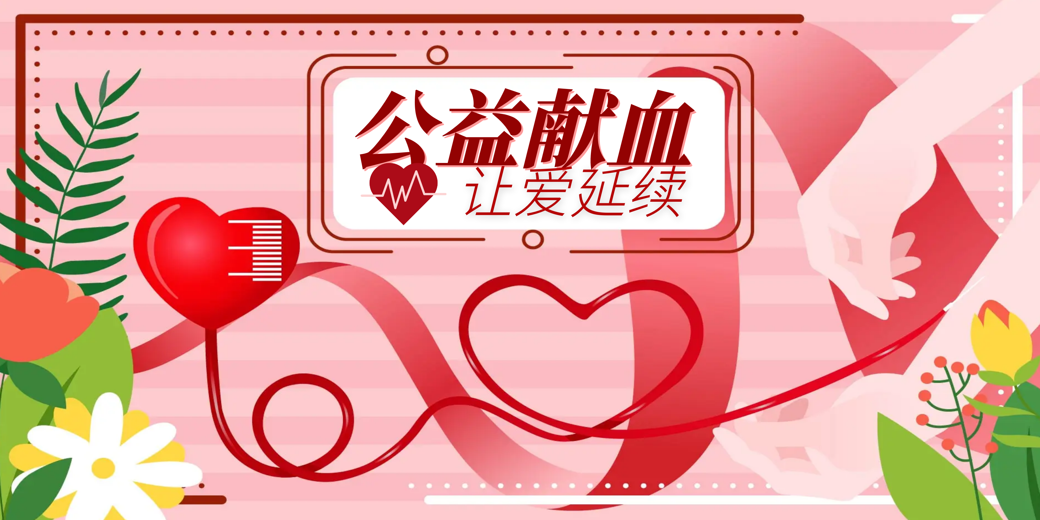 热血正青春|博日科技参加无偿献血活动！