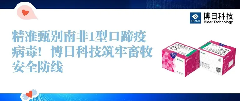 精准甄别南非1型口蹄疫病毒！博日科技筑牢畜牧安全防线