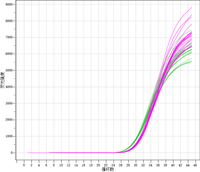 porcine-prrs-virus-nucleic-acid-detection-kit-fluorescence-pcr-detail-1.png